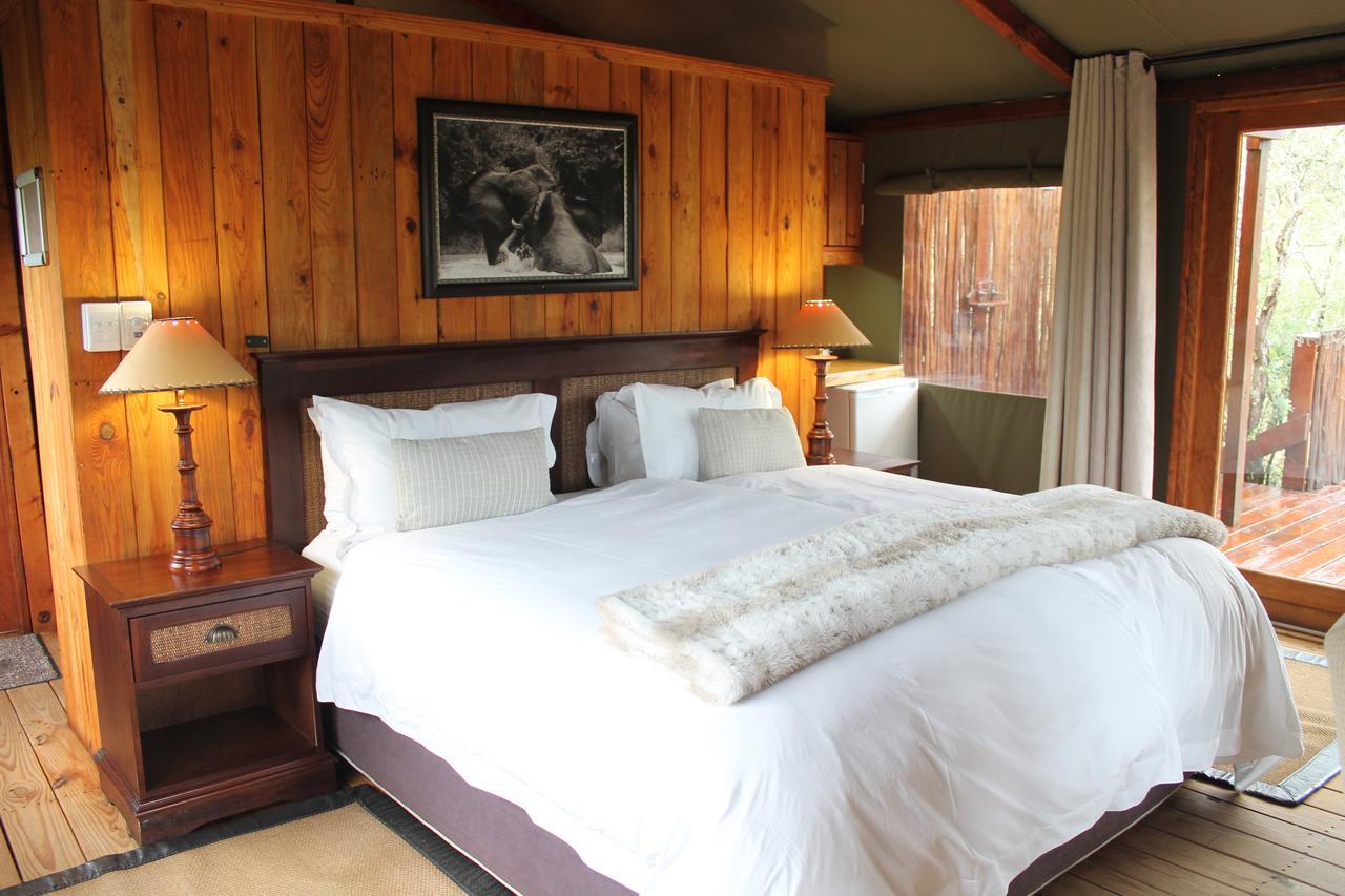 Addo Elephant Lodge & Safaris Kirkwood Exterior foto