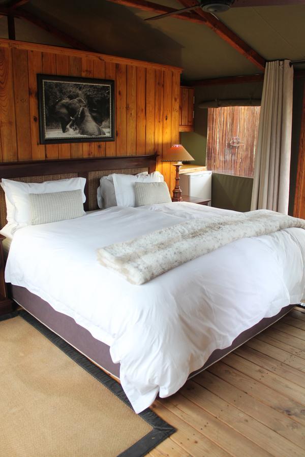 Addo Elephant Lodge & Safaris Kirkwood Cameră foto