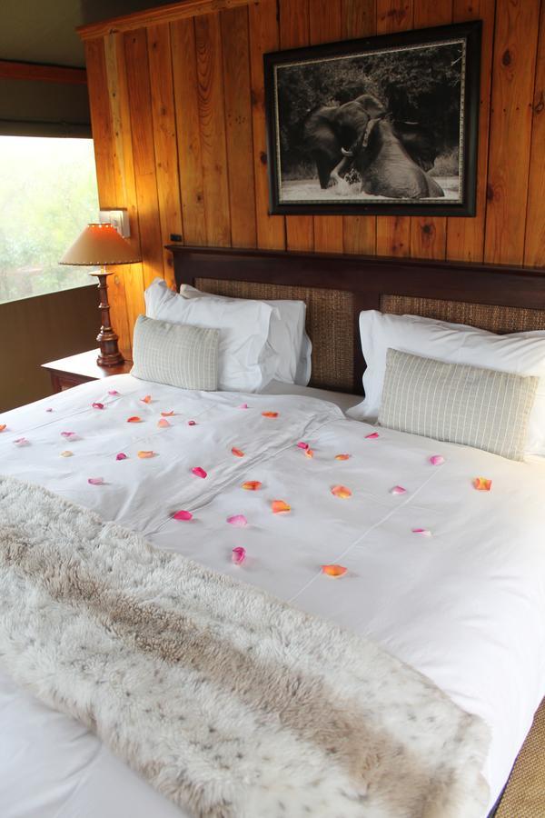 Addo Elephant Lodge & Safaris Kirkwood Exterior foto