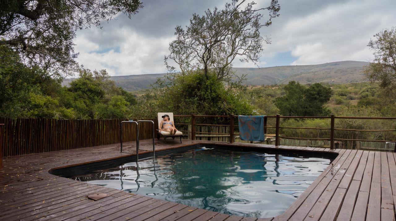 Addo Elephant Lodge & Safaris Kirkwood Exterior foto