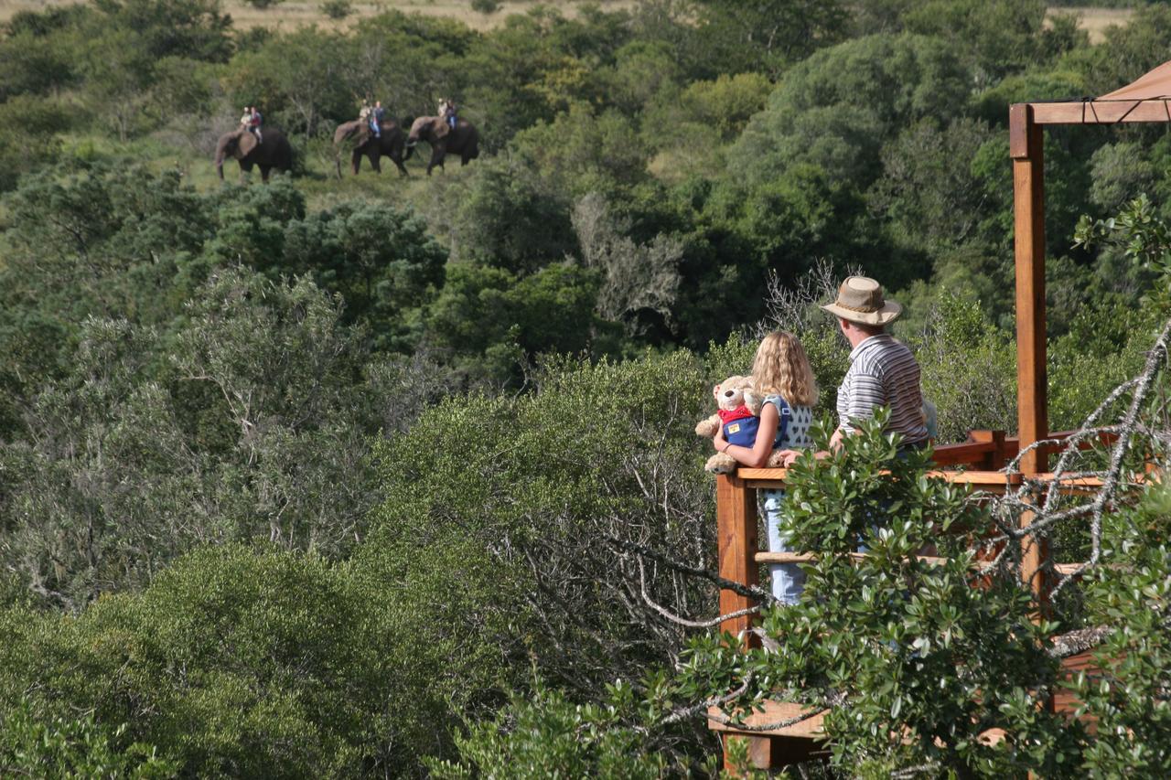 Addo Elephant Lodge & Safaris Kirkwood Exterior foto